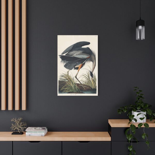 1053075985334285135_2048.jpeg Great Blue Heron, Birds of America - John James Audubon (1834) - Natural History Canvas Print