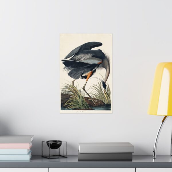 10974376835149301761_2048.jpeg Great Blue Heron, Birds of America - John James Audubon (1834) - Natural History Poster Print