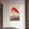 American Flamingo, Birds of America - John James Audubon (1838) - Natural History Poster Print