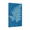 12760018815716811615_2048.jpeg New Zealand Cyanotype - Anna Atkins (c. 1853-54) - Botanical Canvas Print