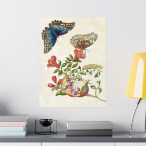 Metamorphosis Insectorum Surinamensium, plate 9 - Maria Sibylla Merian (1705) - Natural History Poster Print