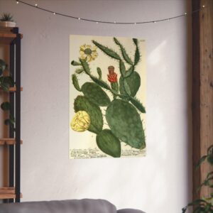 13945821045953200242_2048.jpeg Phytanthoza iconographia, Vol. 3, plate 766 - Johann Wilhelm Weinmann (1742) - Botanical Poster Print