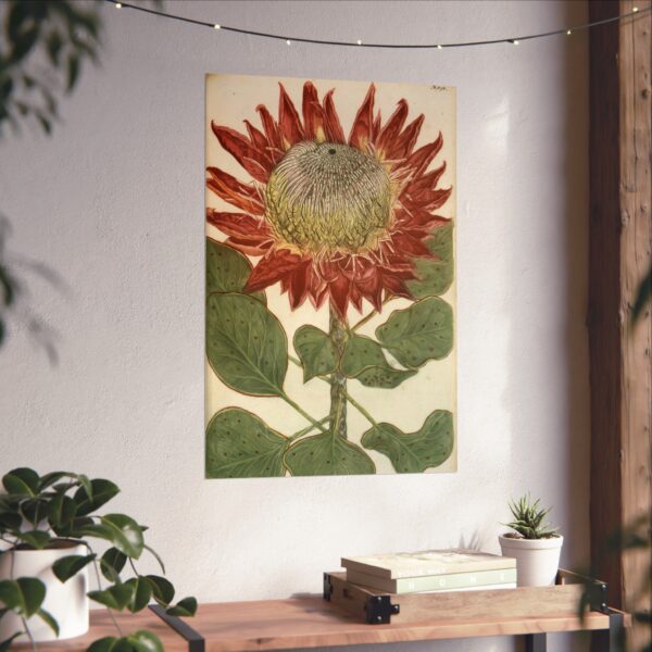 14986635219385410870_2048.jpeg Phytanthoza iconographia, Vol. 4, plate 892 - Johann Wilhelm Weinmann (1745) - Botanical Poster Print