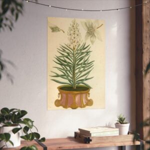 Phytanthoza iconographia, Vol. 1, plate 52 - Johann Wilhelm Weinmann (1737) - Botanical Poster Print