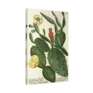 15134682039359423156_2048.jpeg Phytanthoza iconographia, Vol. 3, plate 766 - Johann Wilhelm Weinmann (1742) - Botanical Canvas Print