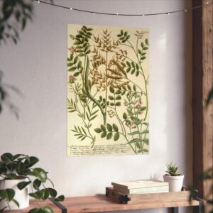 Phytanthoza iconographia, Vol. 3, plate 775 - Johann Wilhelm Weinmann (1742) - Botanical Poster Print