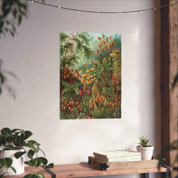 15362314233652410851_2048.jpeg Mosses (Muscinae), Kunstformen der Natur - Ernst Haeckel (1904) - Botanical Poster Print