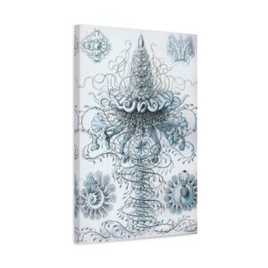 15675326223998047822_2048.jpeg Siphonophorae, Kunstformen der Natur, plate 37 - Ernst Haeckel (1904) - Natural History Canvas Print