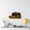 Bos Americanus, American Bison or Buffalo, plate 56 - John James Audubon (1845) - Natural History Poster Print