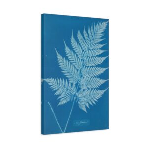 New Zealand Cyanotype - Anna Atkins (c. 1853-54) - Botanical Canvas Print