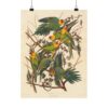 16022971727037628995_2048.jpeg Carolina Parakeet, Birds of America - John James Audubon (1828) - Natural History Poster Print