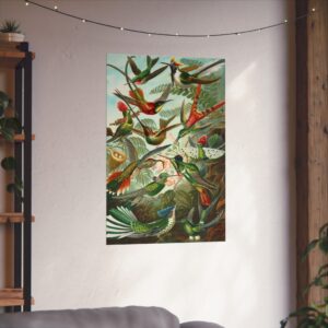 16196945113078706484_2048.jpeg Hummingbirds (Trochilidae), Kunstformen der Natur - Ernst Haeckel (1904) - Natural History Poster Print