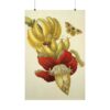 1714363778475400038_2048.jpeg Banana Flower and Fruit, Metamorphosis Insectorum Surinamensium - Maria Sibylla Merian (1705) - Botanical Poster Print