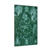 17256434541001660050_2048.jpeg Siphonophorae, Kunstformen der Natur, plate 77 - Ernst Haeckel (1904) - Natural History Canvas Print