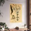 White Lilly (Lilium album), A Curious Herbal - Elizabeth Blackwell (1737) - Botanical Poster Print