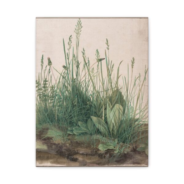The Great Piece of Turf - Albrecht Dürer (1503) - Botanical Canvas Print