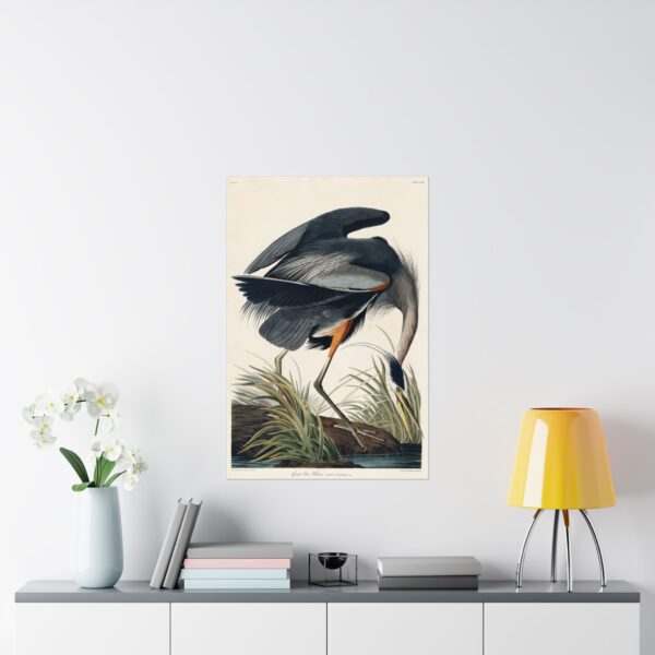 18228926867296695904_2048.jpeg Great Blue Heron, Birds of America - John James Audubon (1834) - Natural History Poster Print