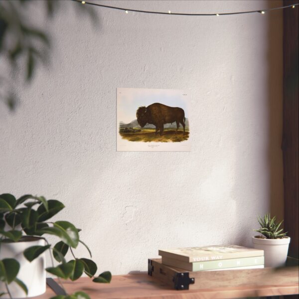 Bos Americanus, American Bison or Buffalo, plate 56 - John James Audubon (1845) - Natural History Poster Print