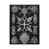 1929183894176996379_2048.jpeg Spumellaria, Kunstformen der Natur, plate 91 - Ernst Haeckel (1904) - Natural History Canvas Print