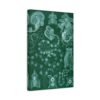 206554517439807839_2048.jpeg Siphonophorae, Kunstformen der Natur, plate 77 - Ernst Haeckel (1904) - Natural History Canvas Print