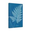 2101826586249448360_2048.jpeg New Zealand Cyanotype - Anna Atkins (c. 1853-54) - Botanical Canvas Print