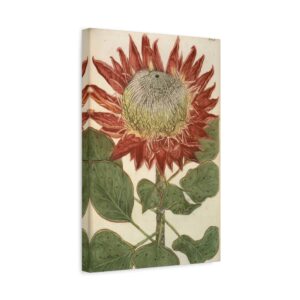 Phytanthoza iconographia, Vol. 4, plate 892 - Johann Wilhelm Weinmann (1745) - Botanical Canvas Print