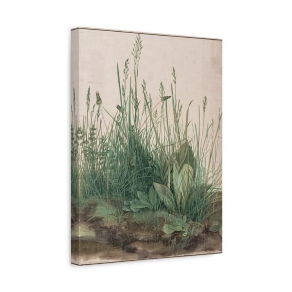 The Great Piece of Turf - Albrecht Dürer (1503) - Botanical Canvas Print
