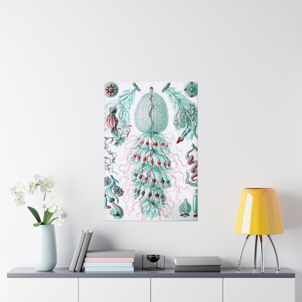 Siphonophorae, Kunstformen der Natur, plate 59 - Ernst Haeckel (1904) - Natural History Poster Print