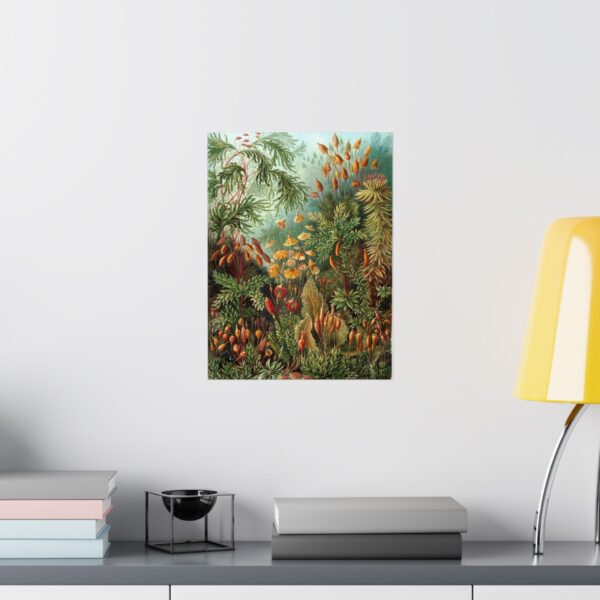 4042915275587058212_2048.jpeg Mosses (Muscinae), Kunstformen der Natur - Ernst Haeckel (1904) - Botanical Poster Print