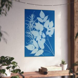 Spiraea aruncus (Tyrol) Cyanotype - Anna Atkins (c. 1851-54) - Botanical Poster Print