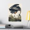4294231658419922076_2048.jpeg Great Blue Heron, Birds of America - John James Audubon (1834) - Natural History Poster Print