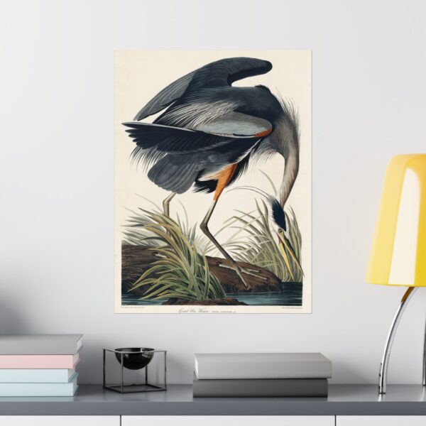4294231658419922076_2048.jpeg Great Blue Heron, Birds of America - John James Audubon (1834) - Natural History Poster Print