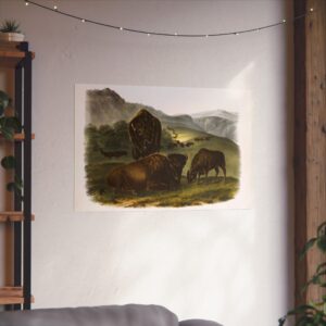 4512111740769916846_2048.jpeg Bos Americanus, American Bison or Buffalo, plate 57 - John James Audubon (1845) - Natural History Poster Print