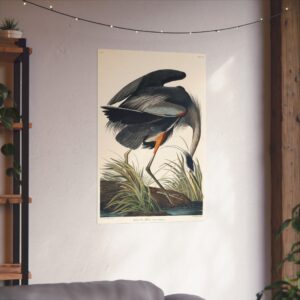 4803357534752625198_2048.jpeg Great Blue Heron, Birds of America - John James Audubon (1834) - Natural History Poster Print