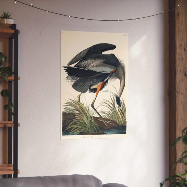 4803357534752625198_2048.jpeg Great Blue Heron, Birds of America - John James Audubon (1834) - Natural History Poster Print
