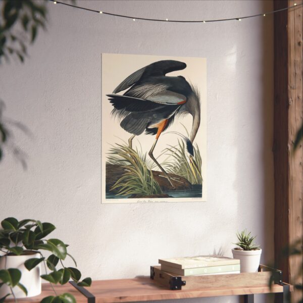 4946475188008114782_2048.jpeg Great Blue Heron, Birds of America - John James Audubon (1834) - Natural History Poster Print