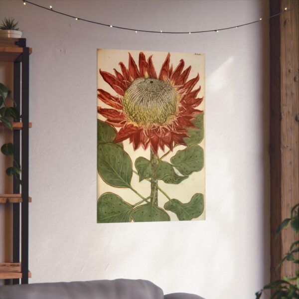 5030341533737817132_2048.jpeg Phytanthoza iconographia, Vol. 4, plate 892 - Johann Wilhelm Weinmann (1745) - Botanical Poster Print