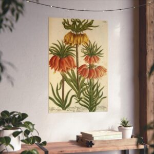 Phytanthoza iconographia, Vol. 3, plate 662 - Johann Wilhelm Weinmann (1742) - Botanical Poster Print