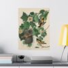 Baltimore Oriole, Birds of America - John James Audubon (1827) - Natural History Poster Print