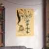 White Lilly (Lilium album), A Curious Herbal - Elizabeth Blackwell (1737) - Botanical Poster Print