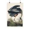 656746211501960703_2048.jpeg Great Blue Heron, Birds of America - John James Audubon (1834) - Natural History Poster Print
