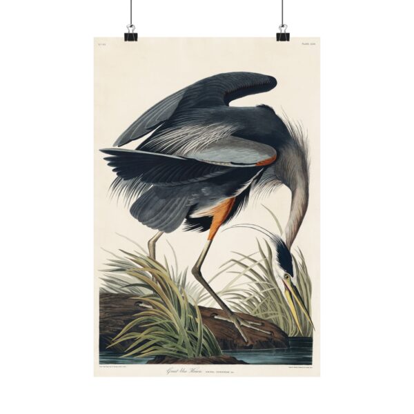 656746211501960703_2048.jpeg Great Blue Heron, Birds of America - John James Audubon (1834) - Natural History Poster Print