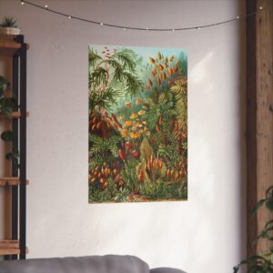 Mosses (Muscinae), Kunstformen der Natur - Ernst Haeckel (1904) - Botanical Poster Print