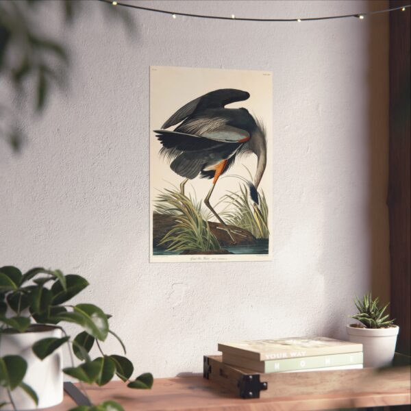 7741633545453011285_2048.jpeg Great Blue Heron, Birds of America - John James Audubon (1834) - Natural History Poster Print