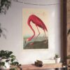 American Flamingo, Birds of America - John James Audubon (1838) - Natural History Poster Print