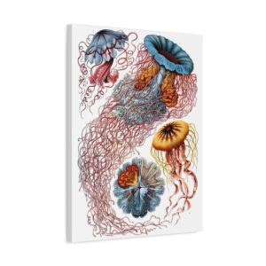 9057174257520264391_2048.jpeg Jellyfish (Discomedusae), Kunstformen der Natur - Ernst Haeckel (1904) - Natural History Canvas Print