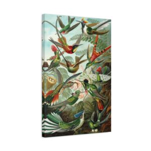 9710548414605594536_2048.jpeg Hummingbirds (Trochilidae), Kunstformen der Natur - Ernst Haeckel (1904) - Natural History Canvas Print
